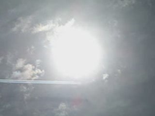 CHEMTRAILS MORT D'ABEILLES !