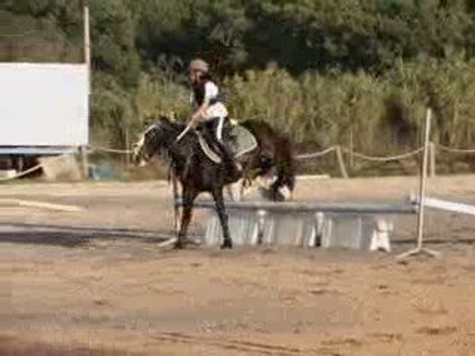 paquerette des ruscats