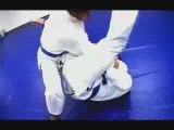 Brazilian Jiu Jitsu Palos Verdes