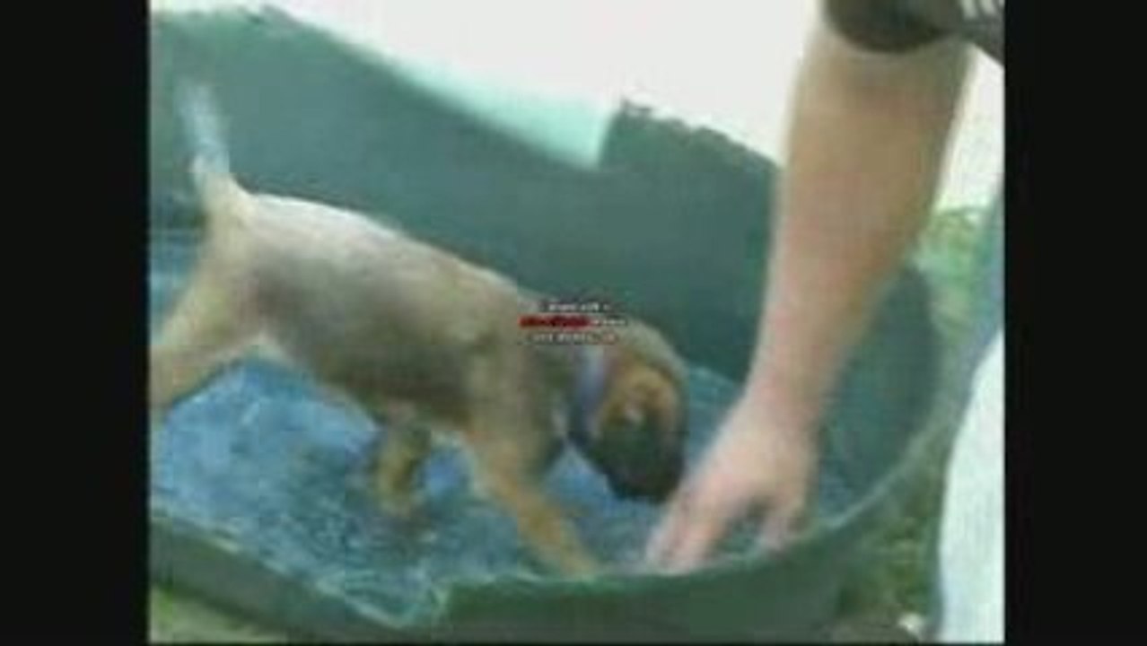Etane à la piscine