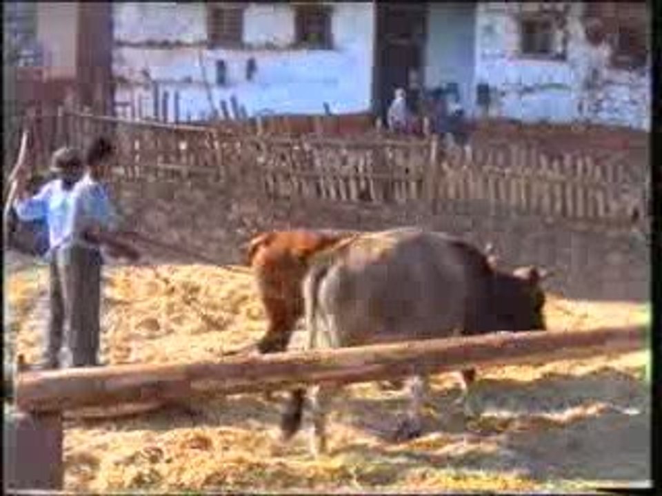 DÖRTKONAK KÖYÜ HARMAN