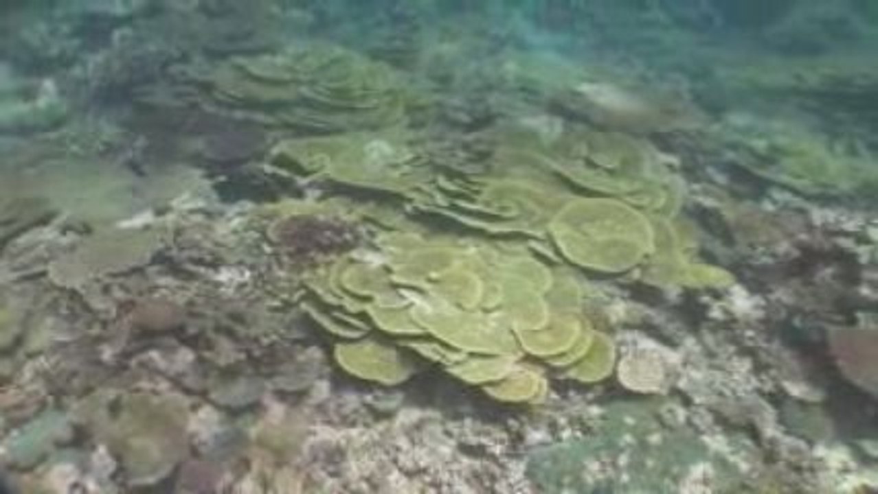 Matava Resort - Kadavu, Fiji Islands