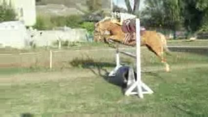 Vertical seance du 28 ignes