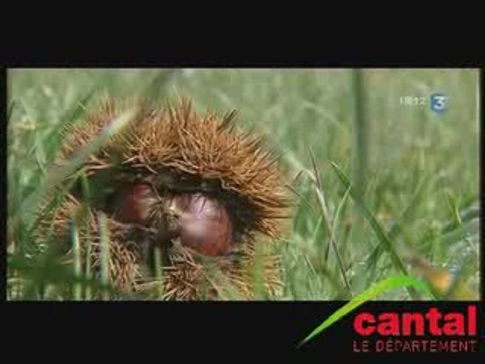 La Fièira de la Castanha (Mourjou Cantal)