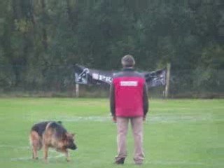 brevet RING - Guy Simon et Canto - deffence - 100/100