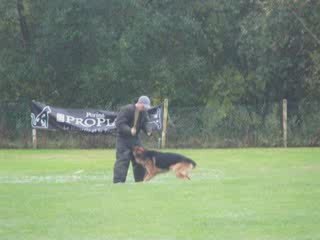 Brevet RING - guy simon et Canto - Face - 100/100