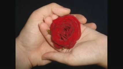 FLORIN BOGARDO SA NU UITAM SA IUBIM TRANDAFIRII