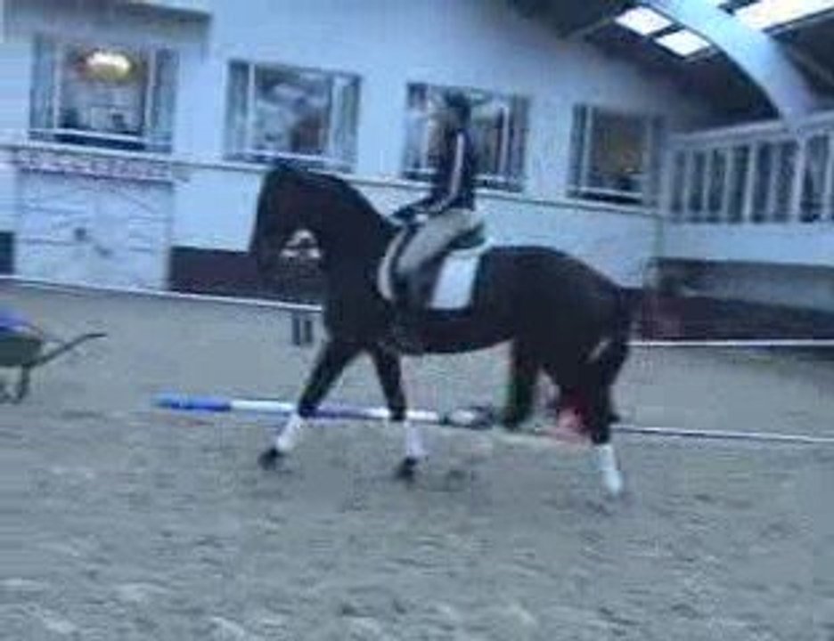 cheval