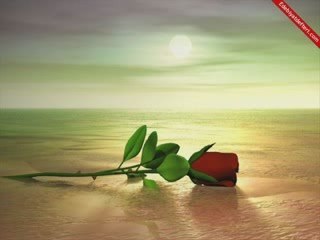 anlat diyorsun bana  aşk şiiri