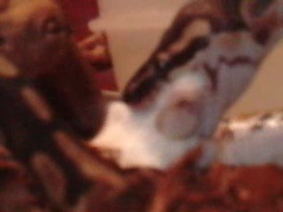 python versus souris