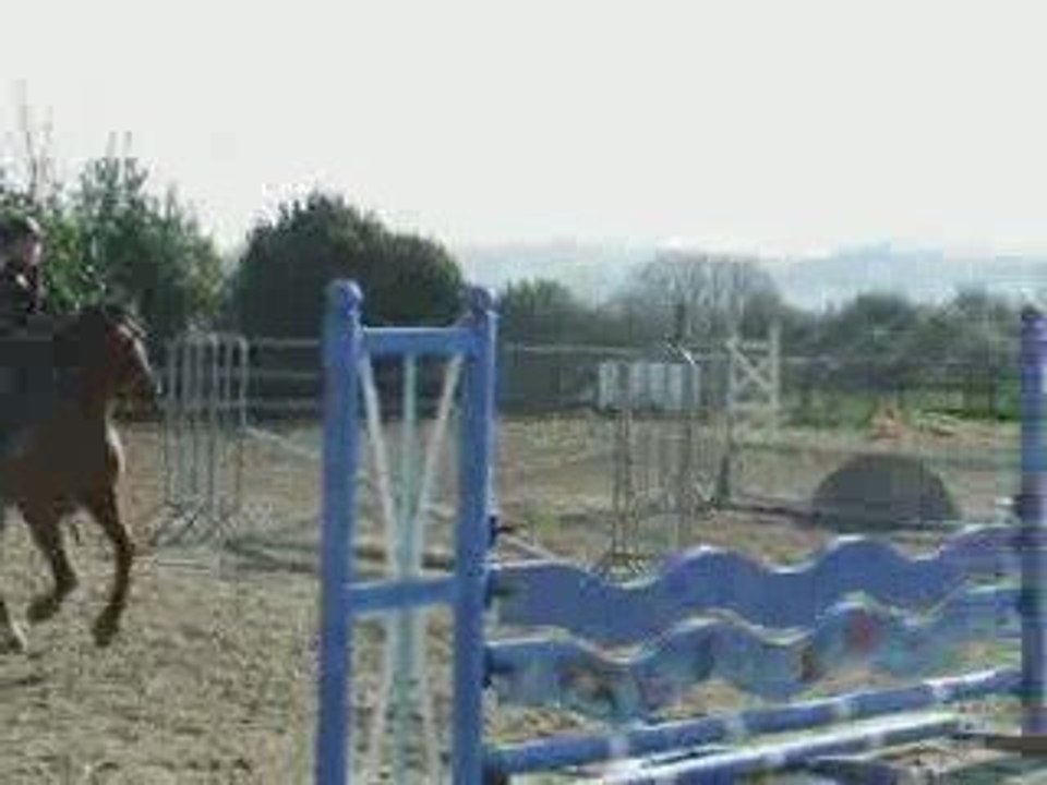 Mir et moi , stage elliant