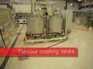 Extrusion Line for Production of  Directly Expanded Snacks