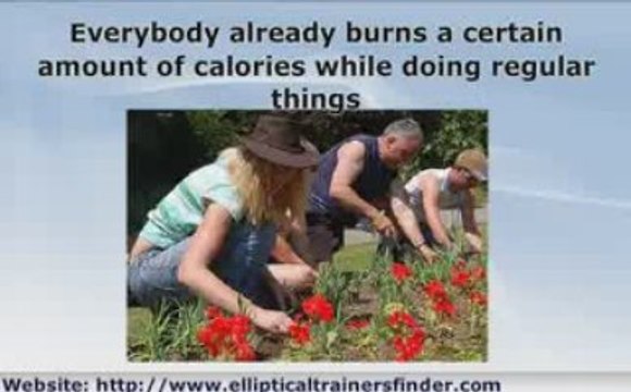 Elliptical Trainers are ideal to shed fat