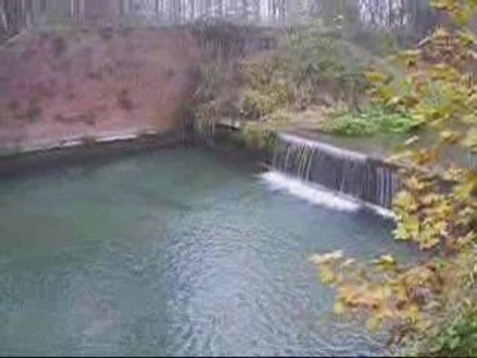 Addio zio Sam-Telecronaca del giorno dopo(seq. foresta)