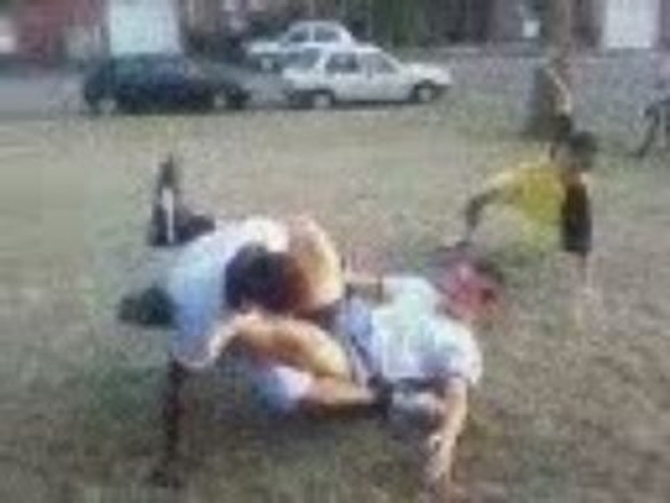 stev vs gad 1