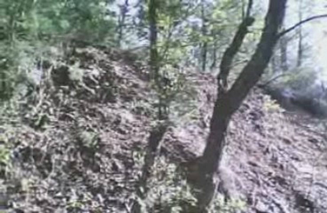 PAINTBALL DU 25/10/09 Delta Extrême Aventure