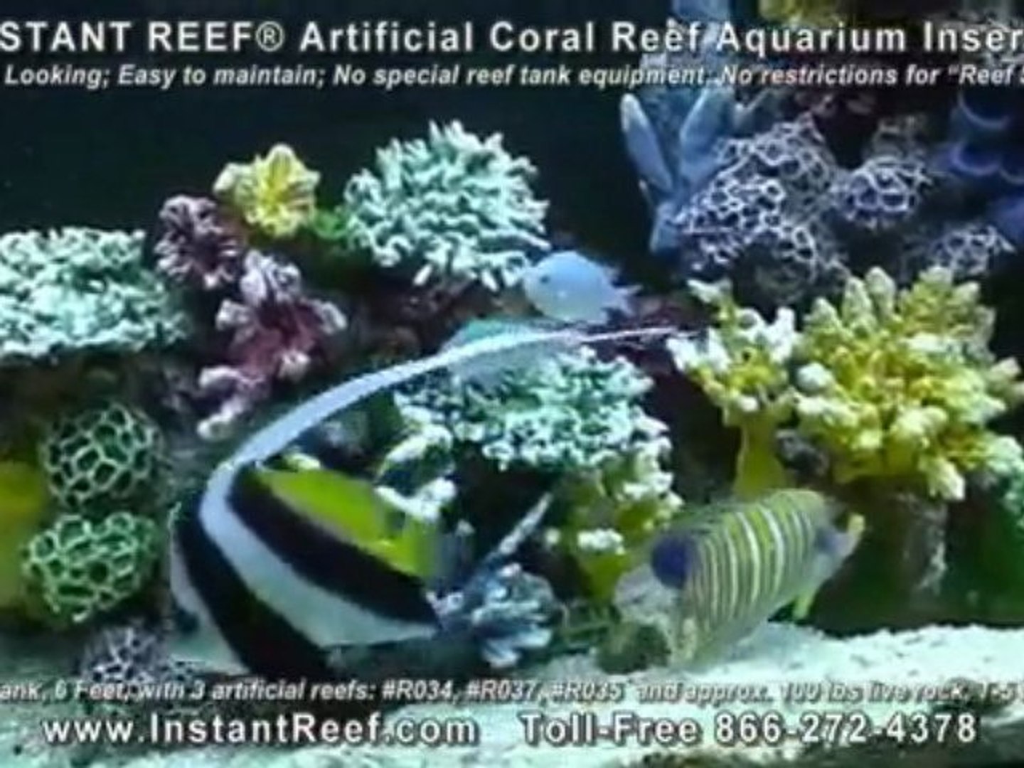 ⁣Reef Aquarium Artificial Coral Reef Saltwater Fish Only Tank