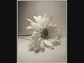 Men and Women in Islam  4