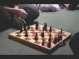 hamster Échecs Chess
