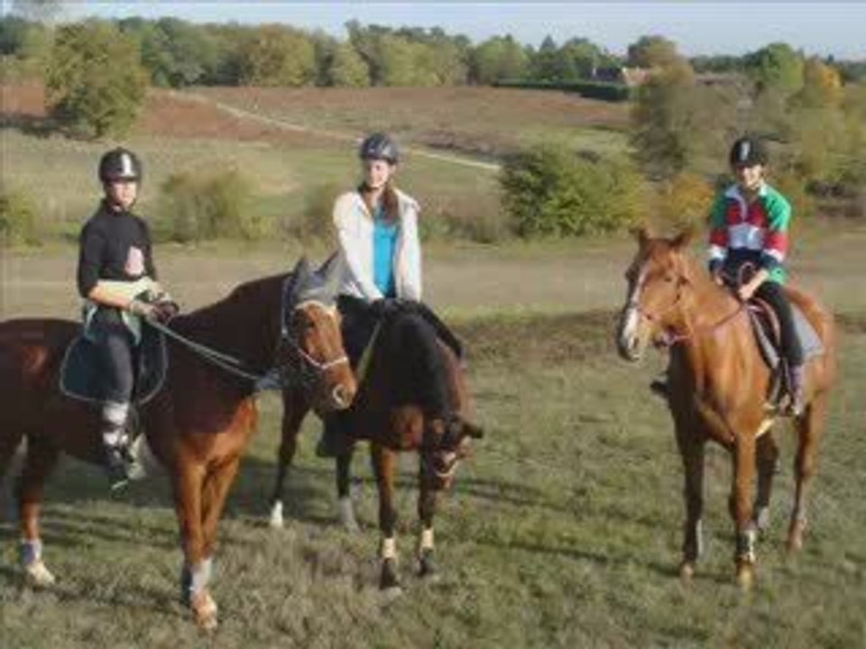 Balade & travail à pied/monté le 28.10.09 & le 30.10.09