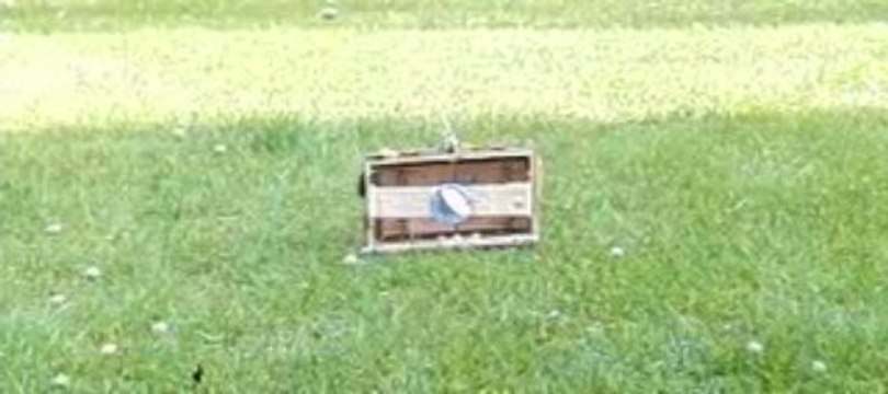 mine airsoft ralenti 2