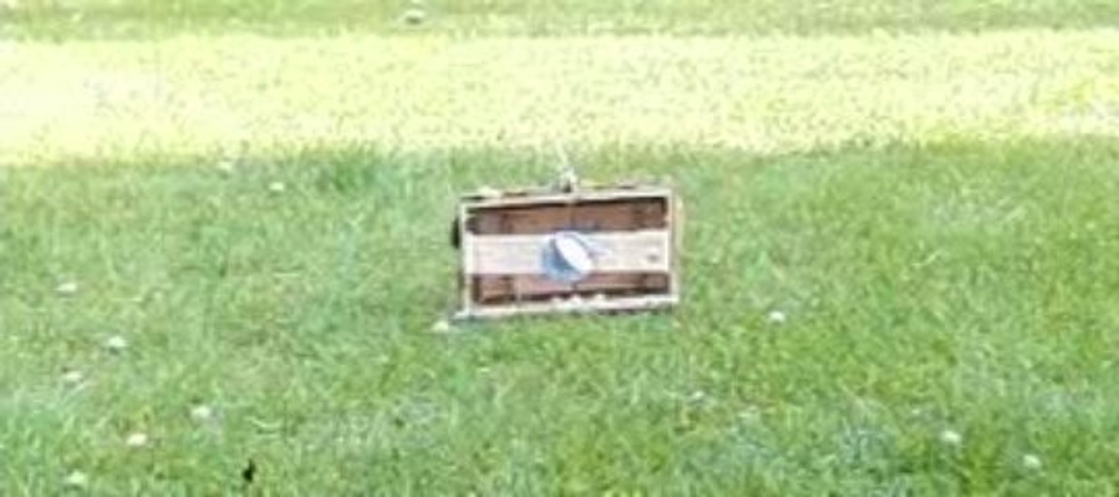 mine airsoft ralenti 2