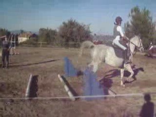 les ecuries de la cibonne