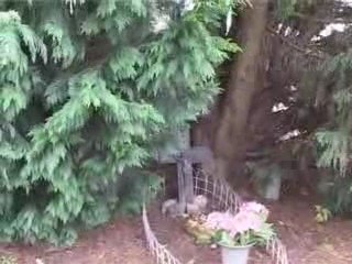 Dailymotion - Le cimetière des fous, par Michel BENEZECH