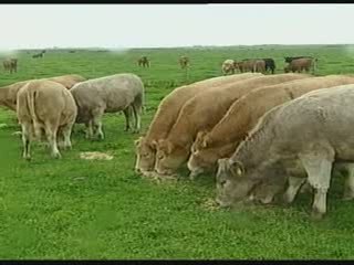 Methane: more harmful than we thought