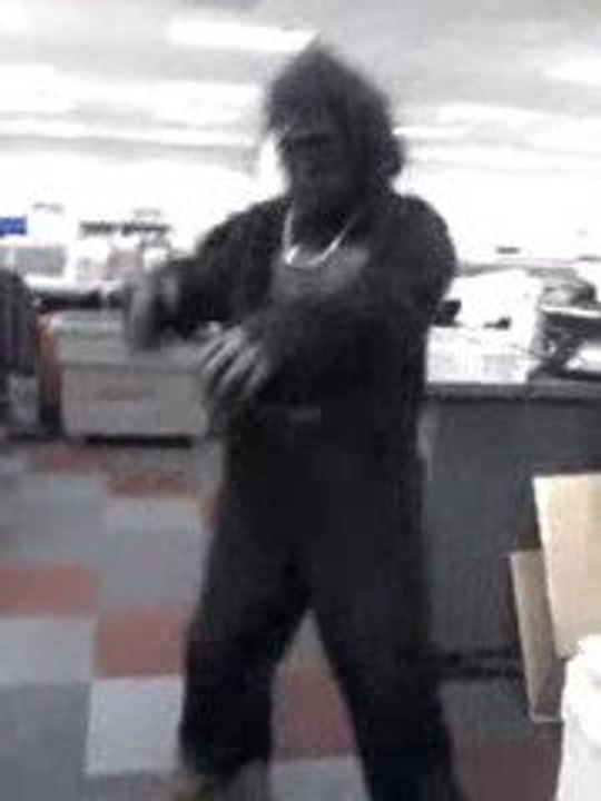 Gorilla