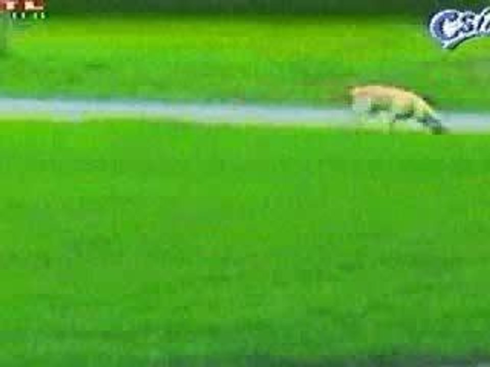 couillons en série!