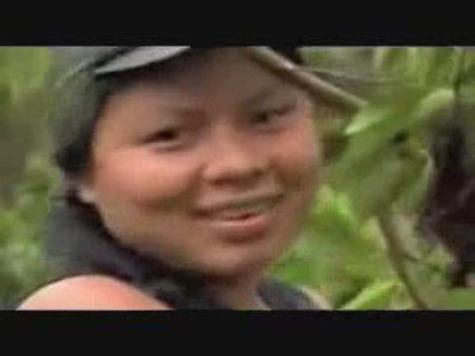 Amazon Herb Changing Lives Saving the Rainforest