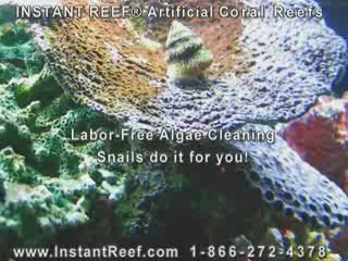 Labor Free Algae Cleaning Artificial Coral Reef Tank Decor