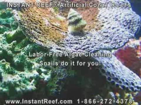 Labor Free Algae Cleaning Artificial Coral Reef Tank Decor