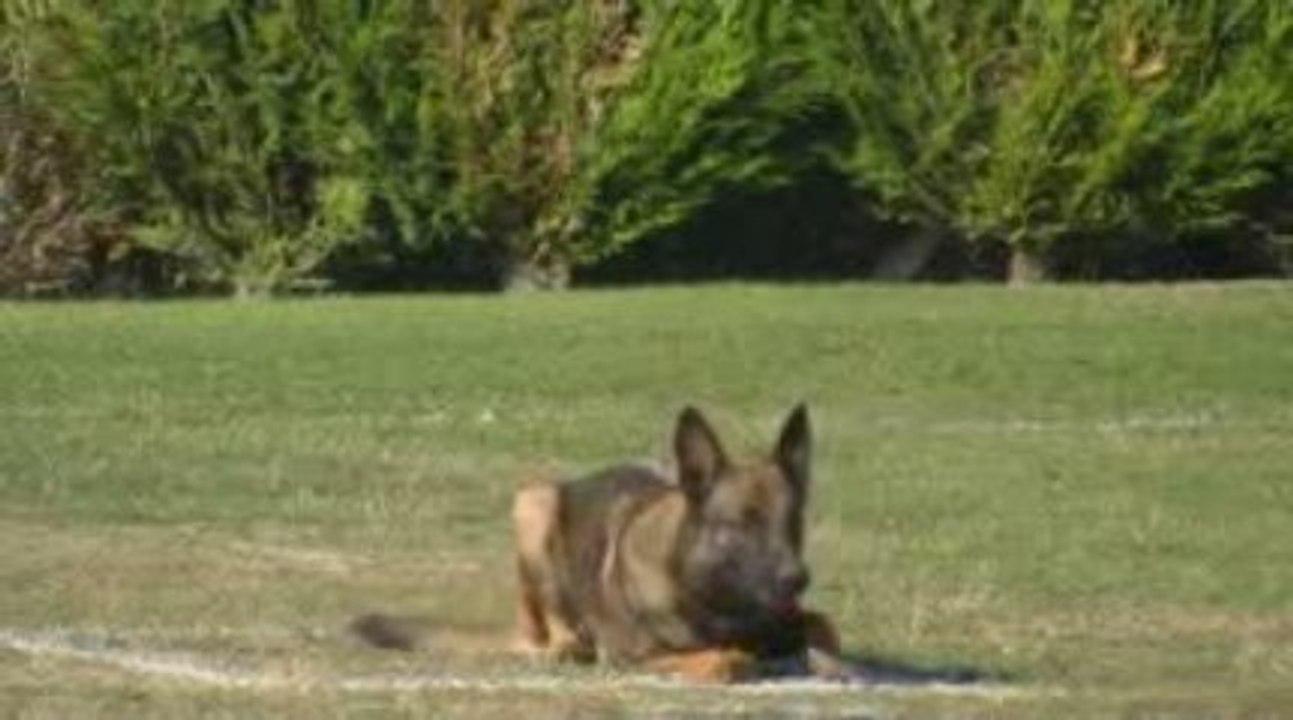 CHERKAN BUCY 26-09-09