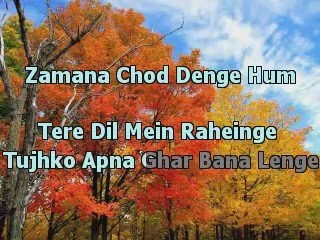 Agar Tum Mil Jao _Zeher_ Karaoke with Lyrics