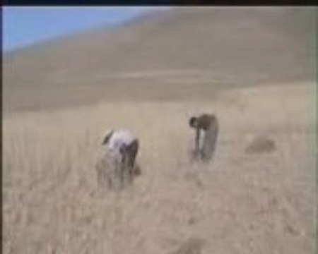 GEVAŞ GÜNDOĞAN KÖYÜ9