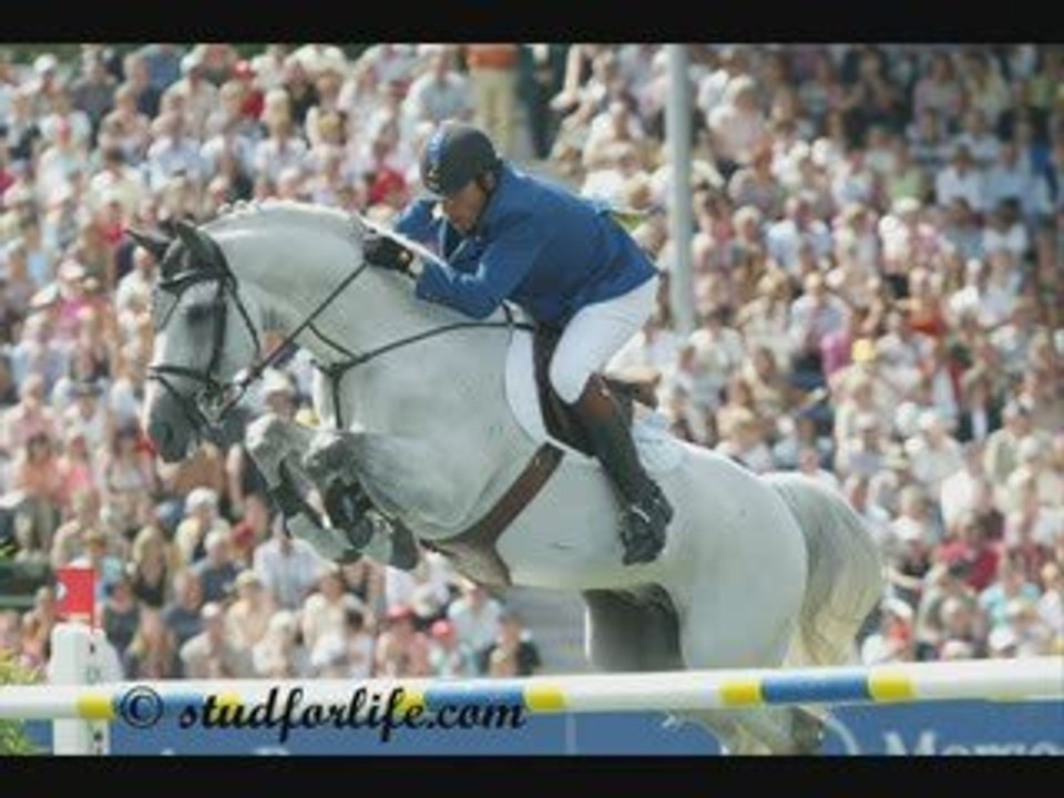chevaux célèbres 2