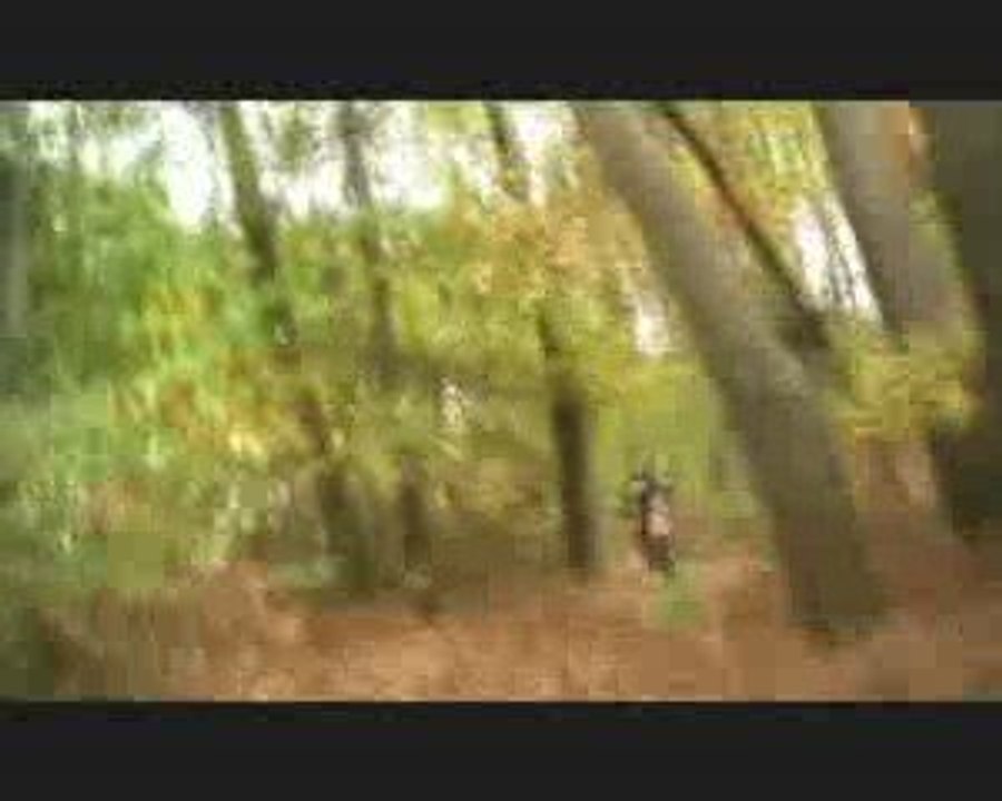 Sortie en foret en 350 klx et 125 kdx