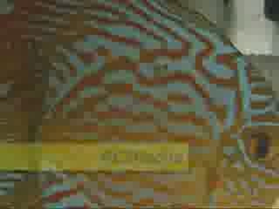 Royal Blue (F) * Turquise (M)