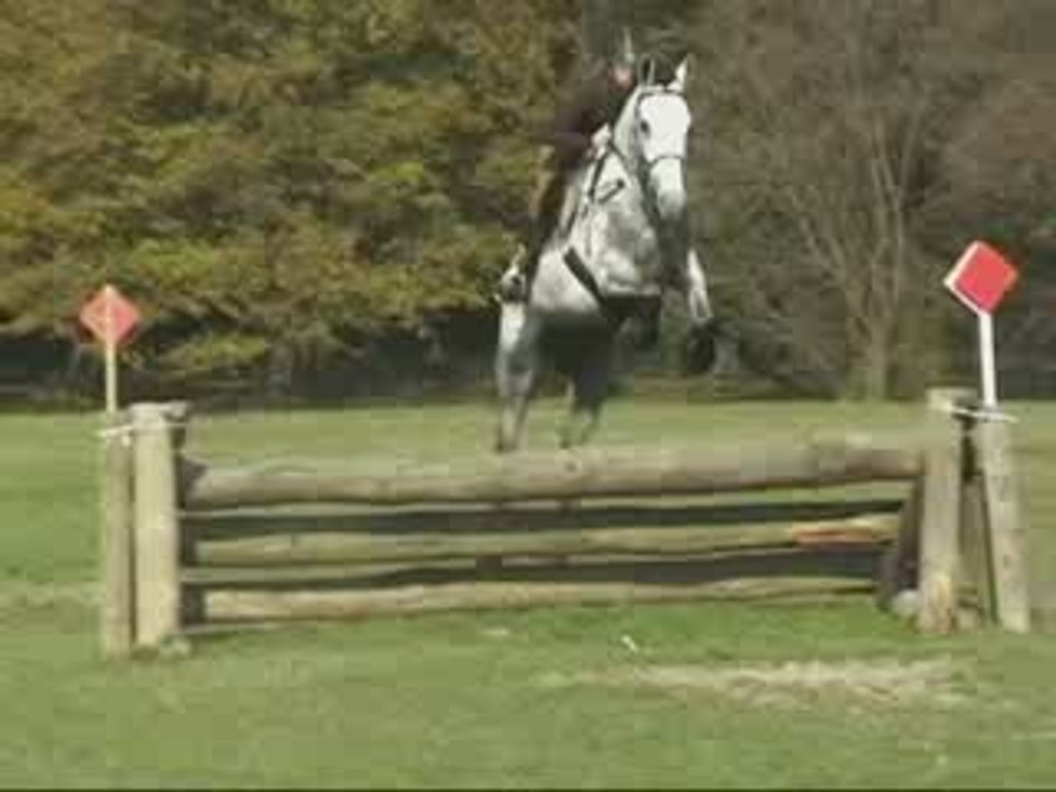 Ramses Bleu du Val cross 29 octobre