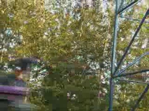 [Offride] Bizarro @ Six Flags New England, USA