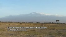 Kenya-Amboseli-Elephants(2)