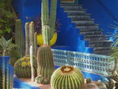 Vacances 2009 Marrakech