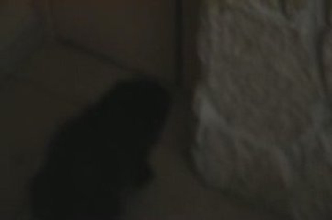 ena