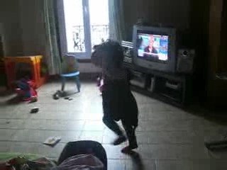 Ce matin, un lapin!!!