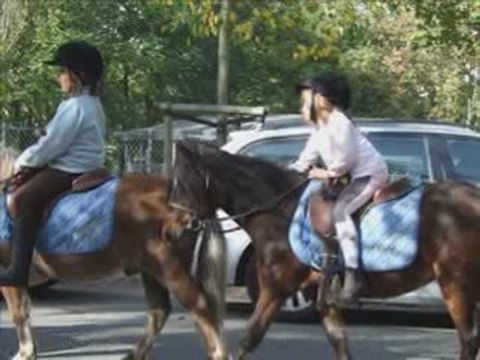 Débuts a poney
