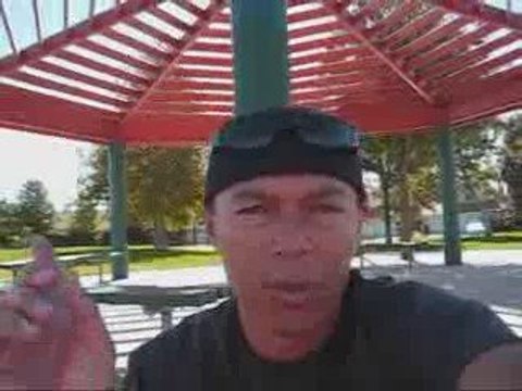 MLM Business Opportunity Yoli Prelaunch