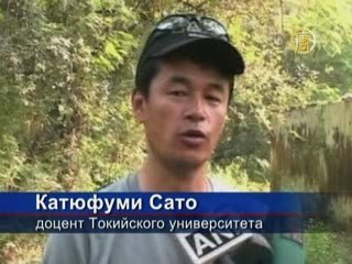 Индийские ученые хотят спасти гавиала от исчезновения