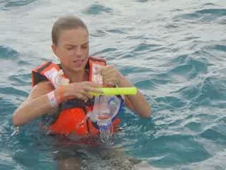 DAUPHINS TORTUS ETOILES DE MER...